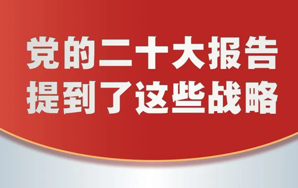 黨的二十大報(bào)告，提到這些戰(zhàn)略